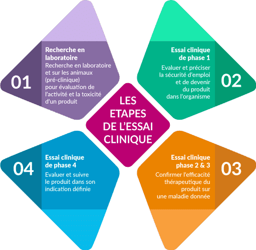 découvrez notre essai complet de la hero hunk 440 2025 : performances, design, prix et avis sur cette nouvelle moto alliant puissance et style.